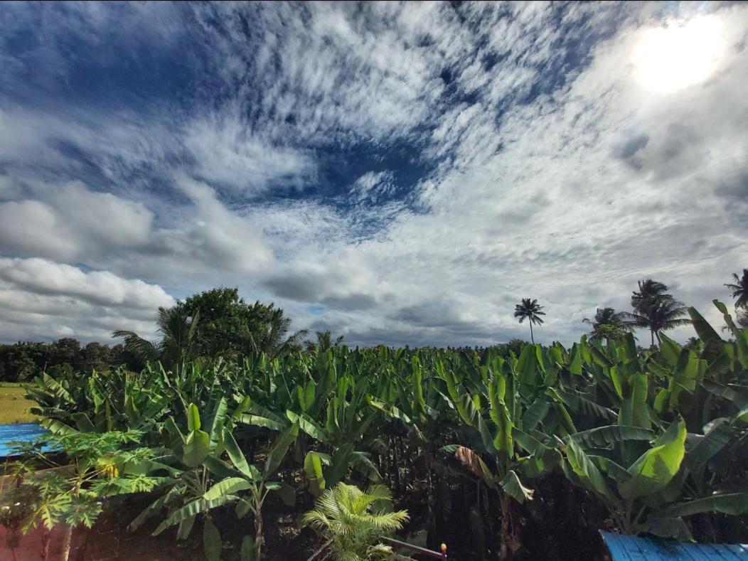 Banana Farm House Hampi Bagian luar foto