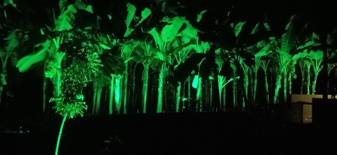 Banana Farm House Hampi Bagian luar foto