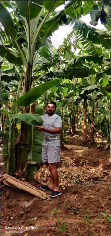 Banana Farm House Hampi Bagian luar foto
